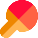 sports,equipment,table tennis,ping pong,racket ok 